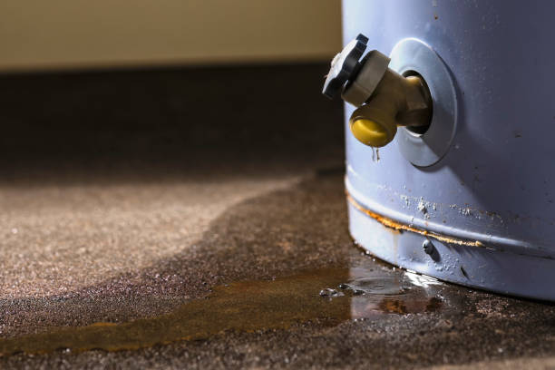 Water damage restoration insurance claims in Mulino, OR