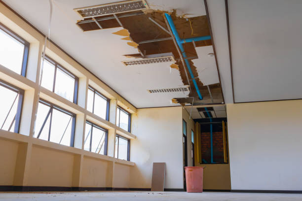Best Water damage contractors near me  in Mulino, OR