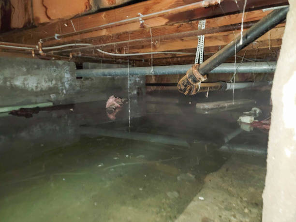 Best Flooded house restoration  in Mulino, OR