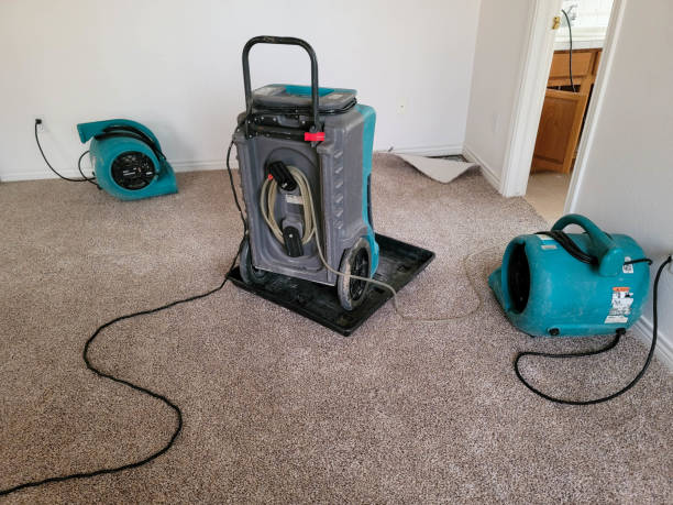 Best Mold removal after water damage  in Mulino, OR