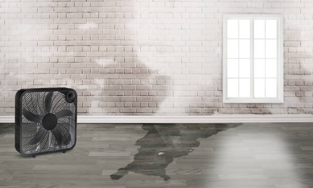 Best Ceiling water damage repair  in Mulino, OR