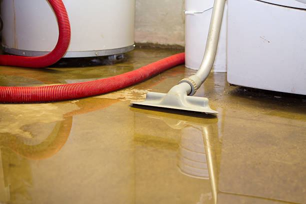 Best Commercial water damage restoration  in Mulino, OR