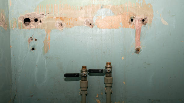 Best Ceiling water damage repair  in Mulino, OR