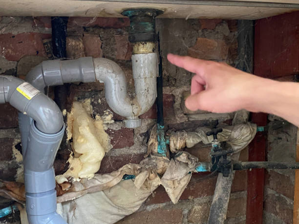 Best Basement water damage restoration  in Mulino, OR