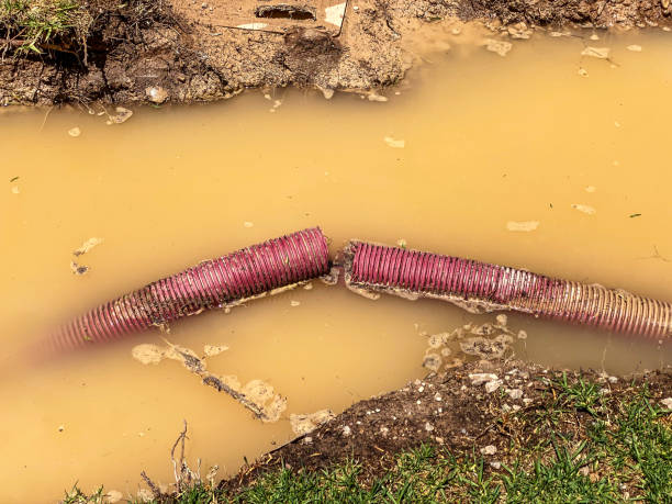 Best Water damage cleanup near me  in Mulino, OR