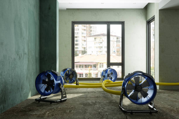 Best Emergency water damage restoration  in Mulino, OR