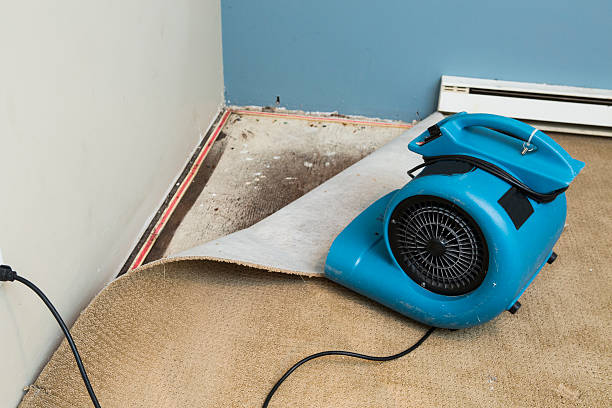 Water damage restoration experts in Mulino, OR